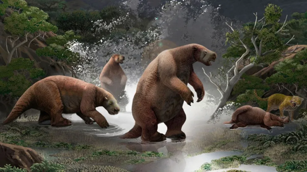 Hace 10.000 años, un asado prehistórico en el primer asentamiento de la provincia