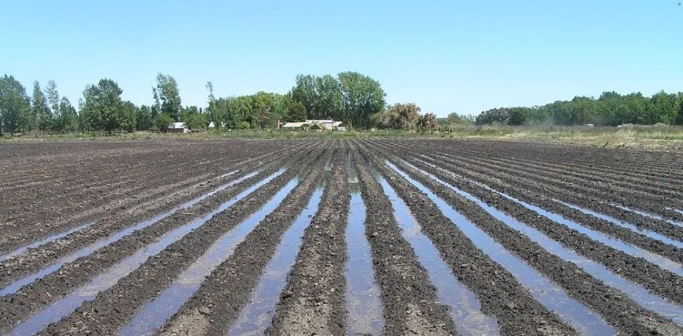 IDEVI cierra el año con un buen nivel de producción