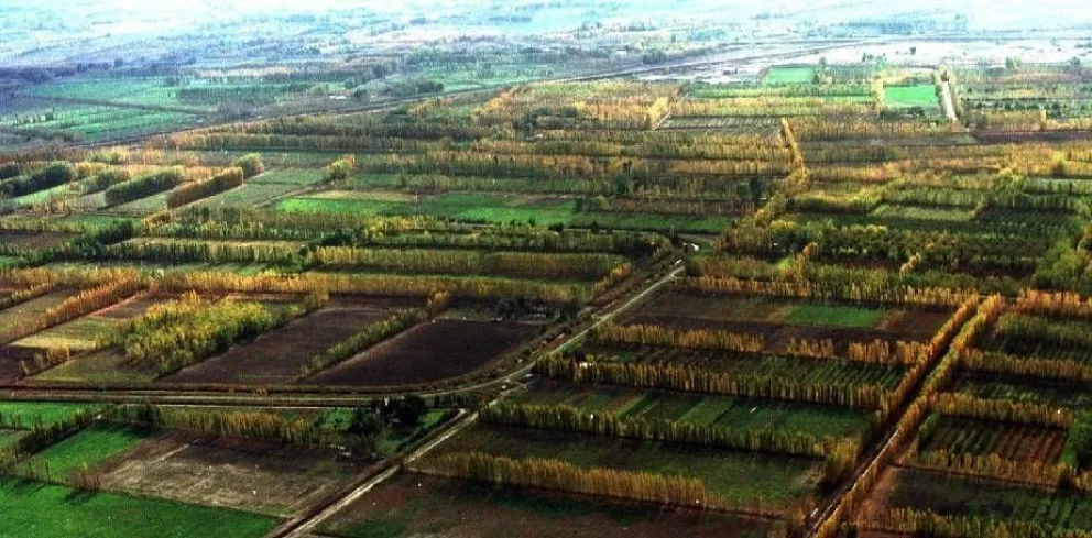 IDEVI comienza a cobrar el canon de riego para mantenimiento de canales