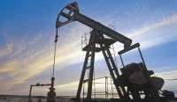 Inversiones petroleras, a marzo: las contradicciones del FdT postergaron el debate