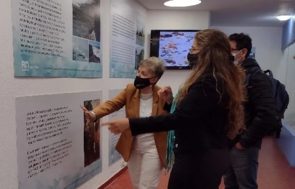 La reserva faunística de Punta Bermeja cuenta con una muestra histórica