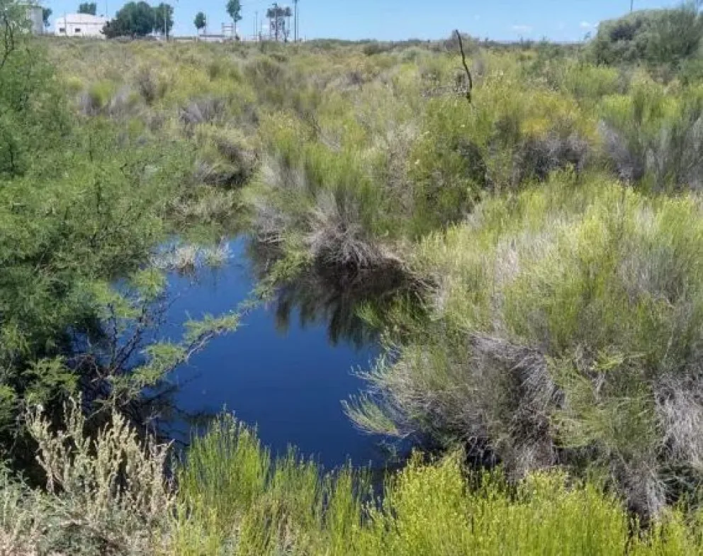 Tremendo: Se produjo un grave derrame de petróleo por la rotura de un oleoducto