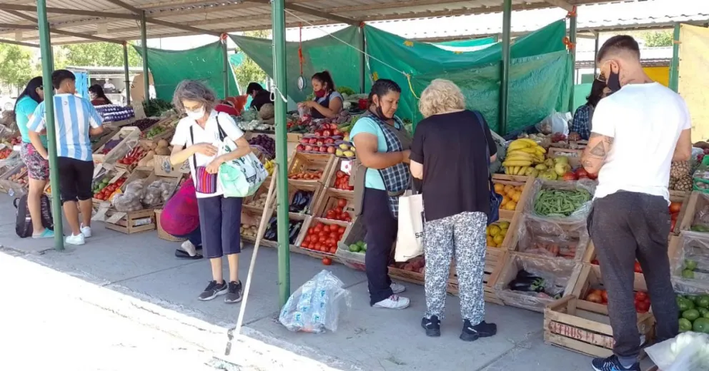 Temporada de abundancia de cerezas y tomates