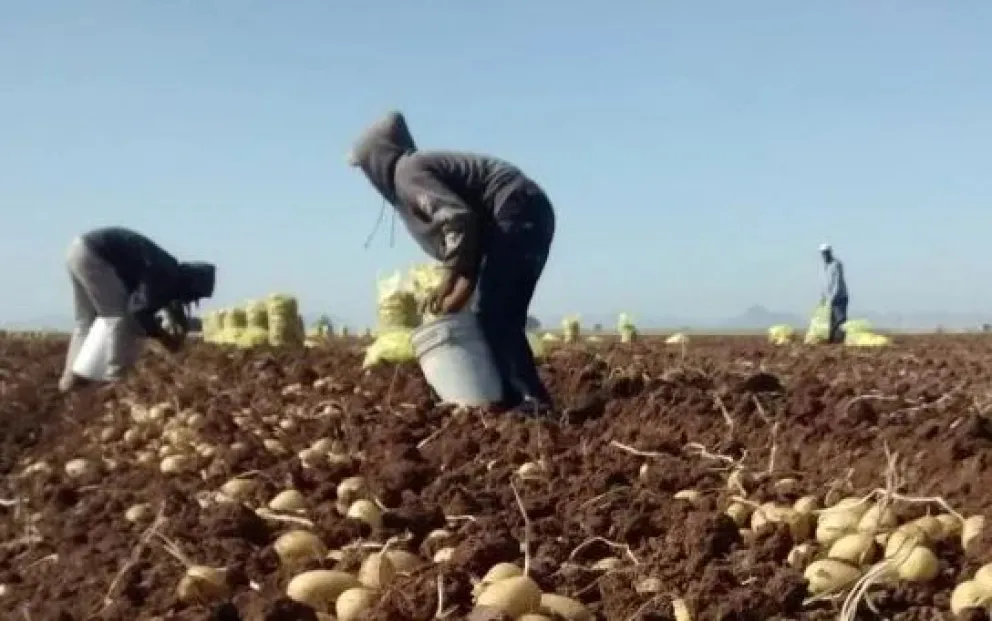 Cuánto dinero en el bolsillo necesitó una familia para saltar la indigencia