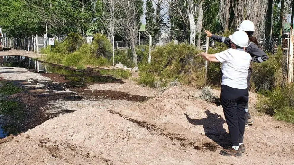 Una funcionaria publicó una foto insólita por el derrame de crudo en Río Negro: "Es joda?"