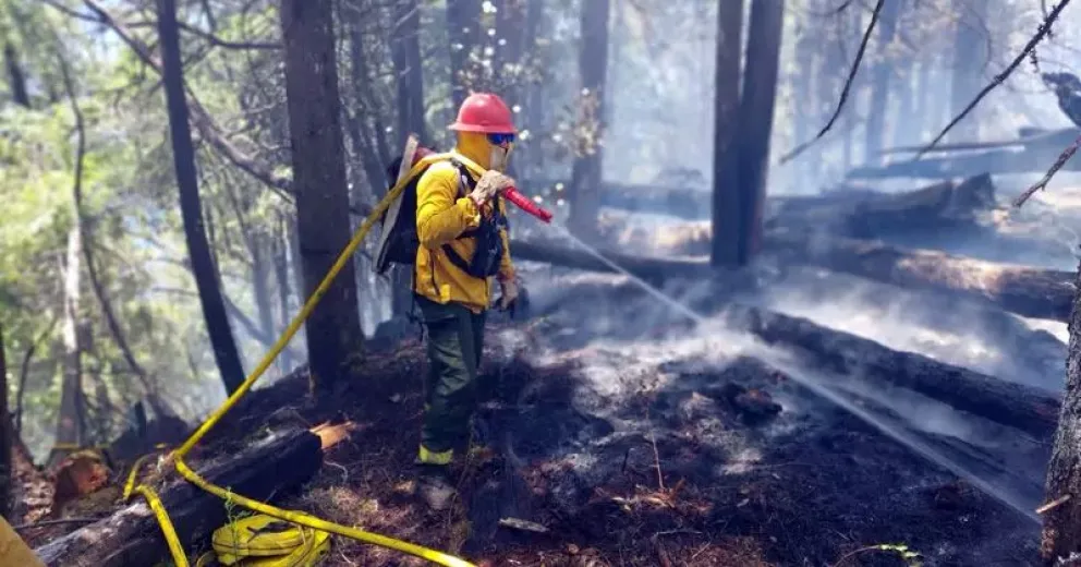 Una tormenta eléctrica desató un voraz incendio en la cordillera rionegrina