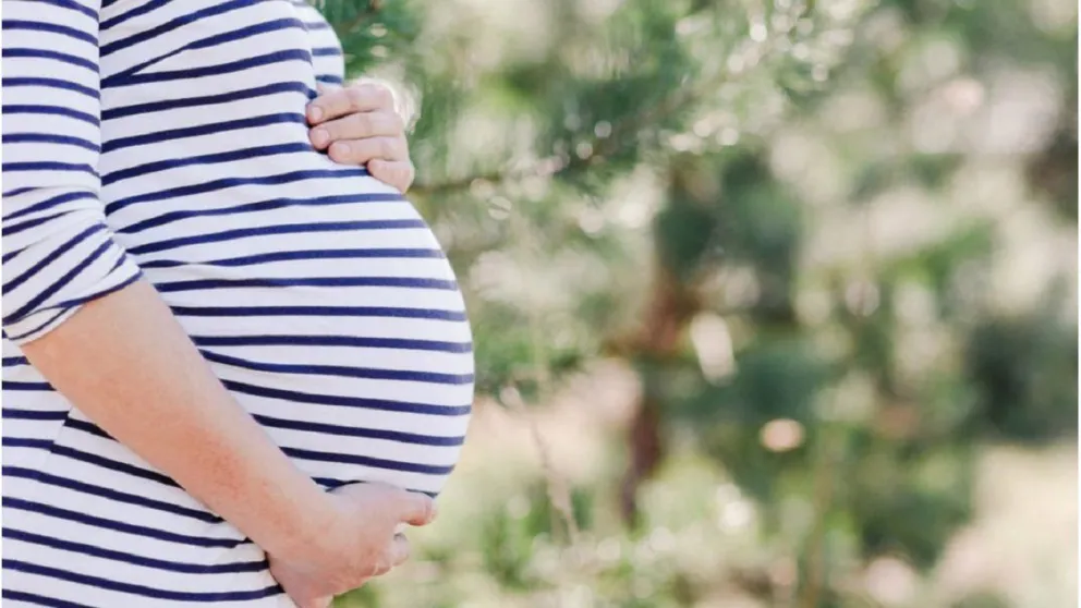Un caso único: La Justicia autorizó a una mujer a gestar en su vientre a su nieto