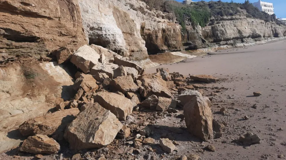 Continúan férreos controles para evitar mordidas de perros hacia lobos marinos