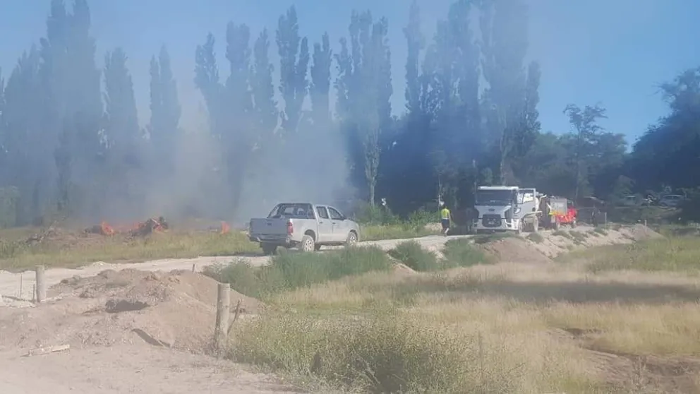 El fuego descargó toda su furia contra una extensa línea verde en Patagones