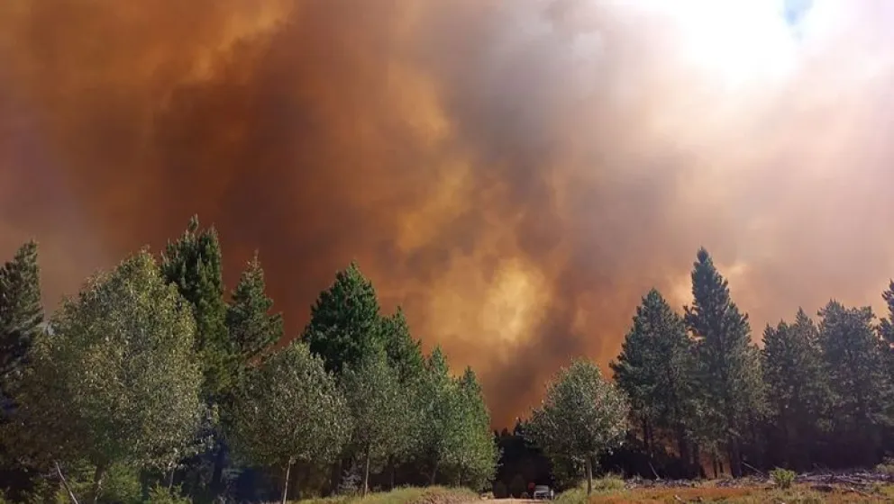 Peligro: cinco provincias registran focos de incendios forestales