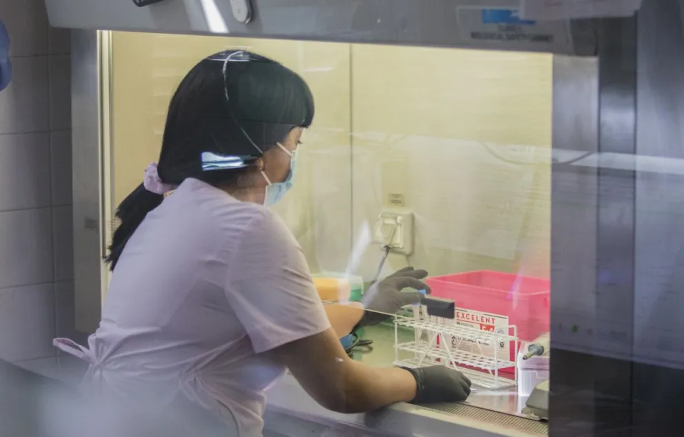 El mapa del Covid 19 en Río Negro: Incidencias acumuladas por grupos 