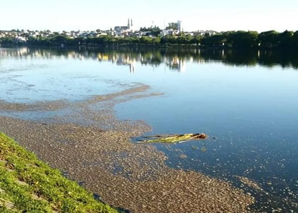 Y los desechos cloacales terminaron en el río Negro