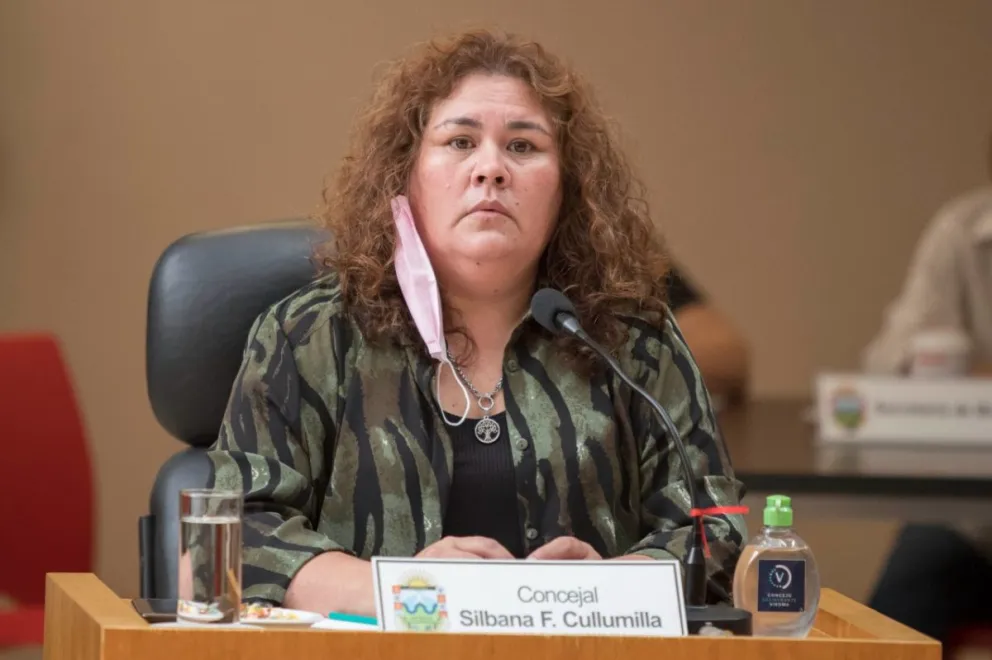 Adelantan la aprobación unánime del proyecto "Alta Viedma" 