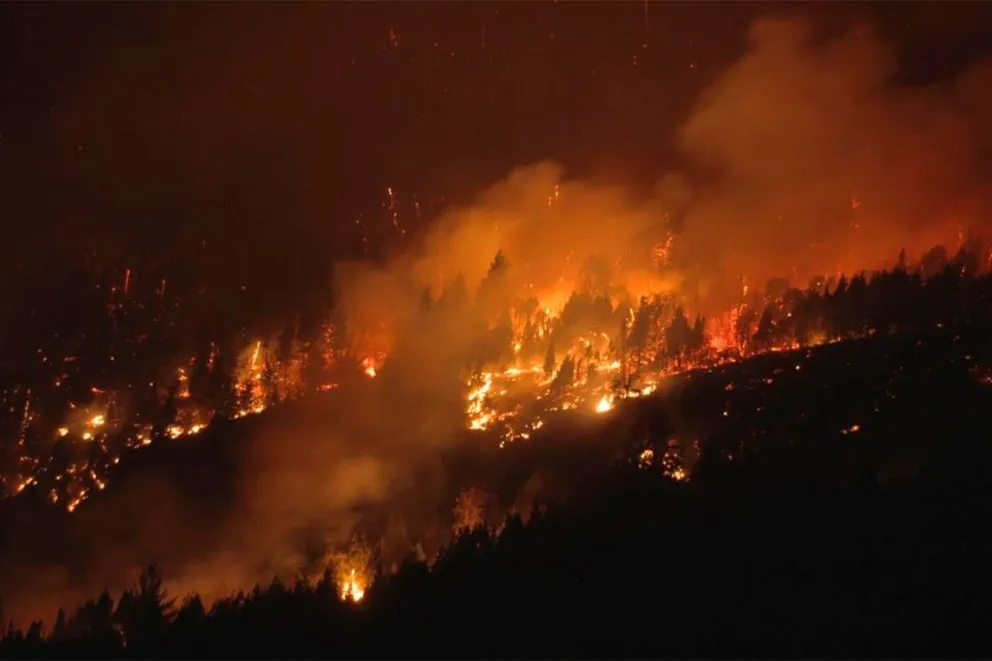 El Senado aprobó declarar como “zona de emergencia forestal” a la Patagonia