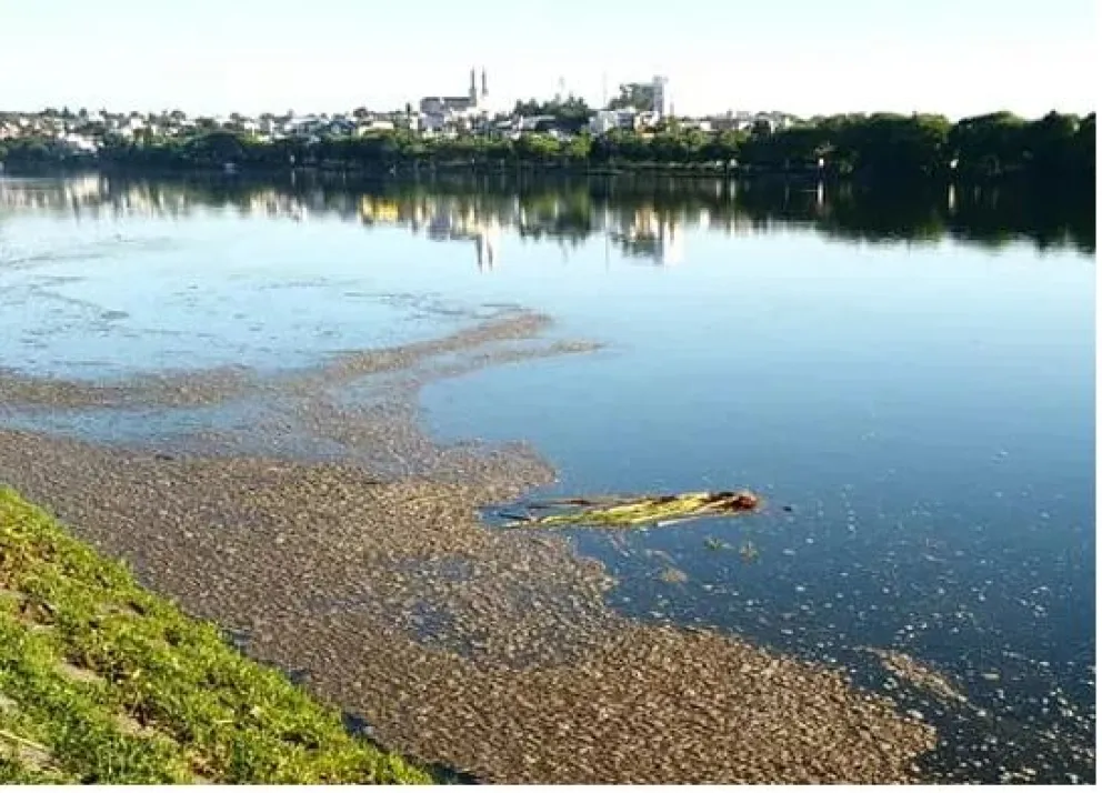 Líquidos cloacales al río Negro: Viedma pide explicaciones a la empresa ARSA y al DPA
