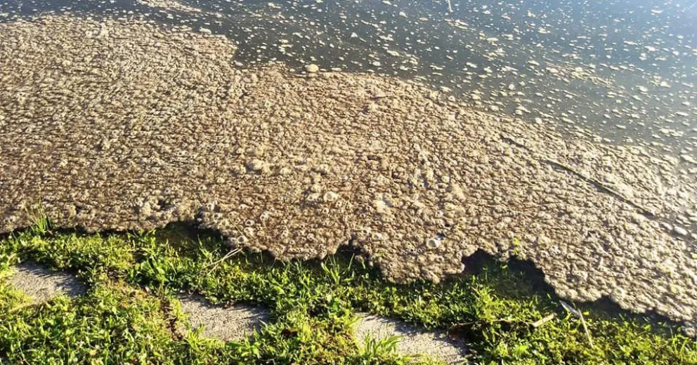Líquidos cloacales al río Negro: "los organismos deben dar respuestas a la sociedad"