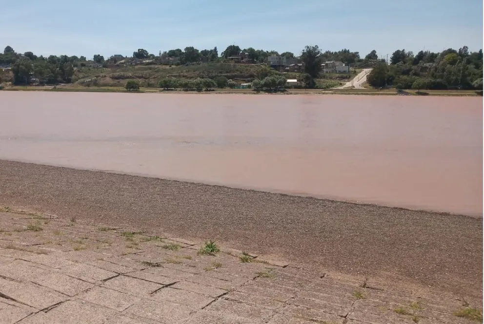 El río Negro cambió a un color parecido al chocolate en Viedma