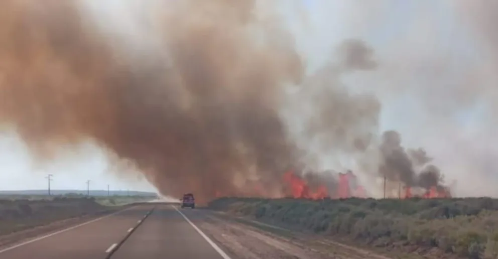 Emergencia ígnea, se trabaja de forma coordinada para prevenir los incendios de verano
