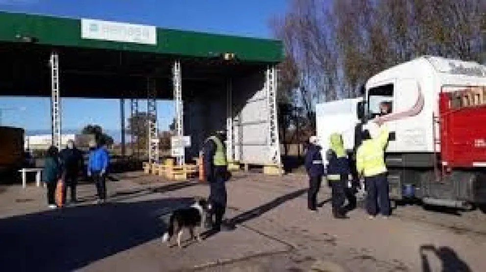 Decomisaron carne ovina y porcina en la Barrera Zoofitosanitaria