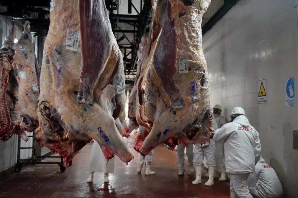 El Gobierno prohibió por dos años la exportación de siete cortes de carne parrilleros