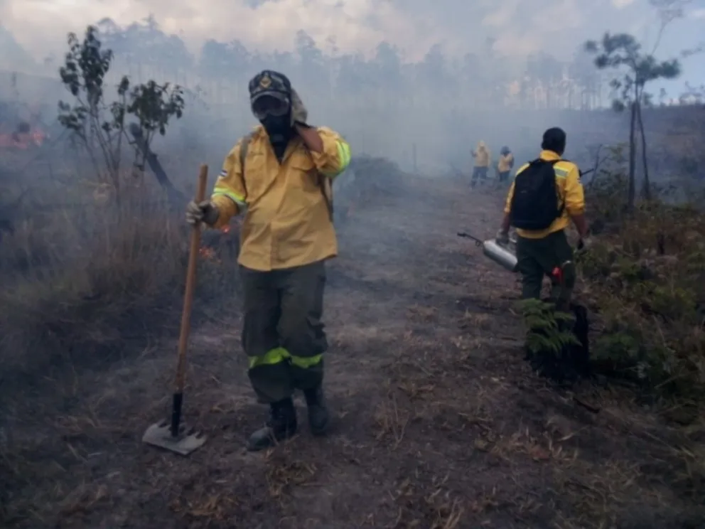 Incendios forestales: recomendaciones para evitarlos por negligencia