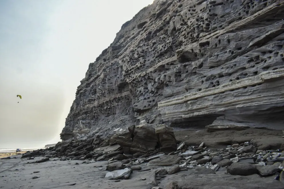 Dispondrán de cartelería y campañas de concientización en redes.