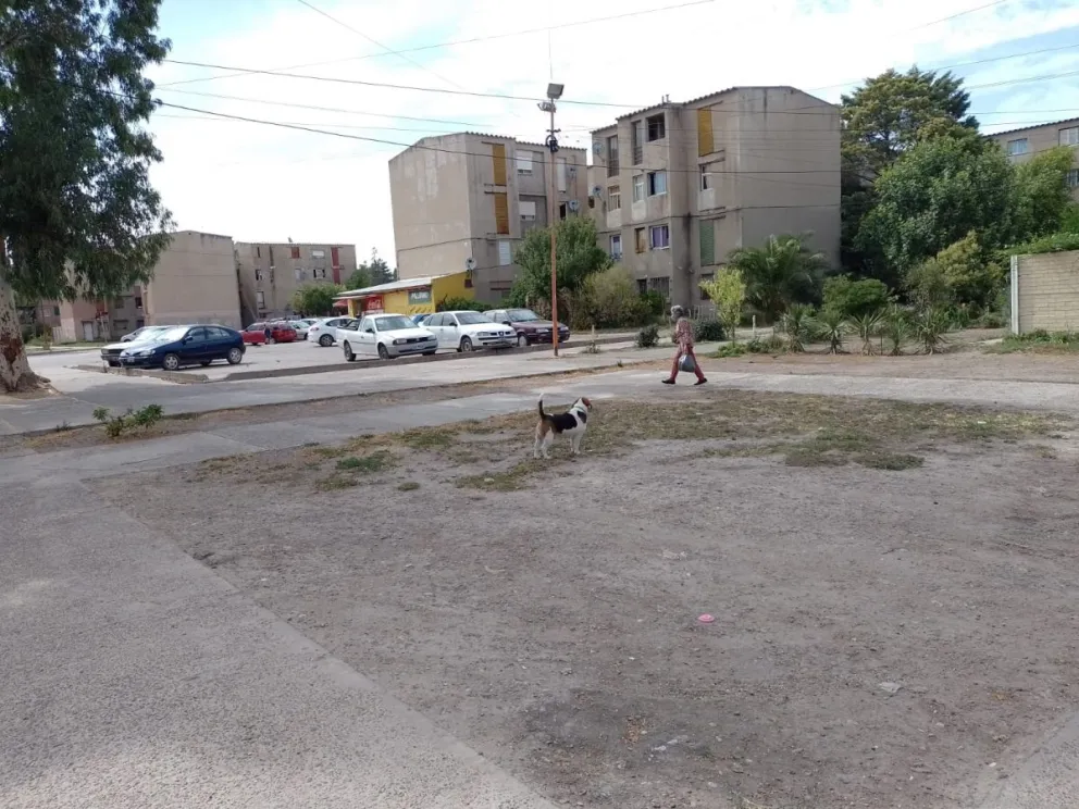 En el barrio América reclaman por importantes pérdidas de agua
