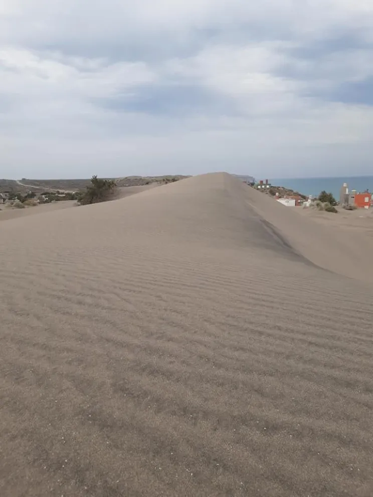 Otro festival musical y cultural quedó cancelado por razones sanitarias