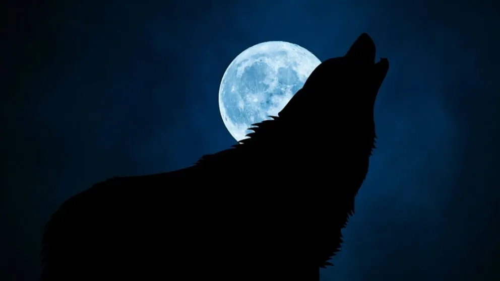 Estos son los 4 signos del zodíaco que se verán afectados por la luna llena de enero