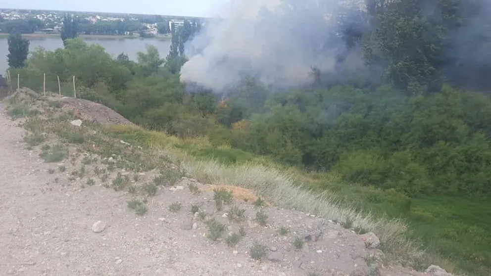 Incendio de pastizales causó temor en Patagones