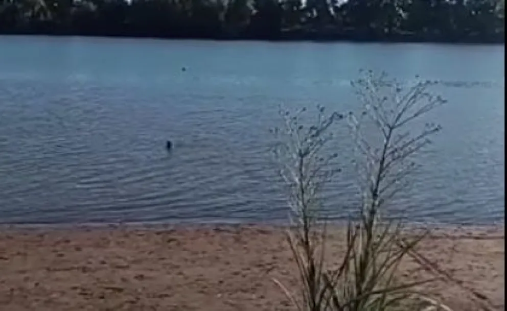 Video: Un nene se golpeó la cabeza con un tronco escondido en el río