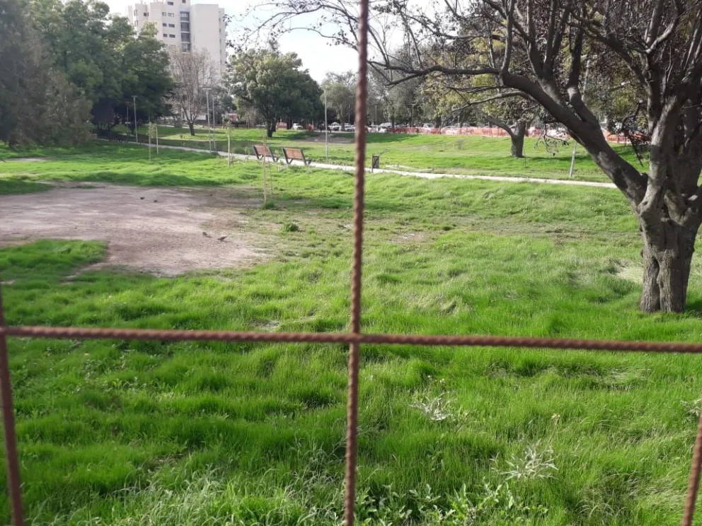 Los jardines del Ministerio recuperaron el verde que los caracterizaba