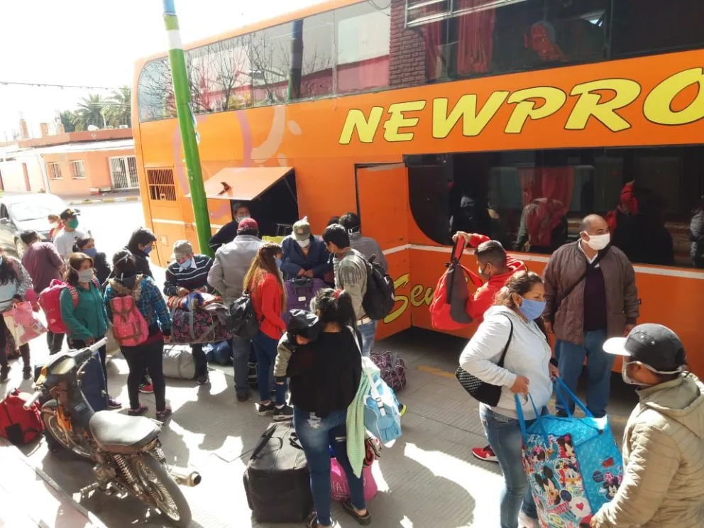 Trabajo: Anomalías en gamelas, control de vacunas y unas pocas expulsiones