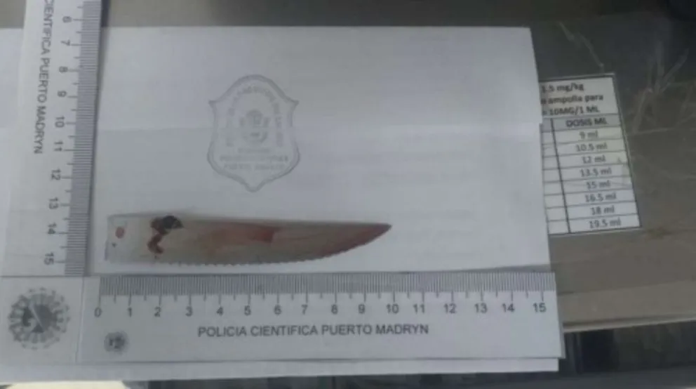 Increíble: Le clavaron un cuchillo de 10 cm en la cabeza durante una pelea y sobrevivió