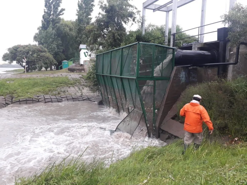 Repararán los canastos metálicos contenedores de residuos 