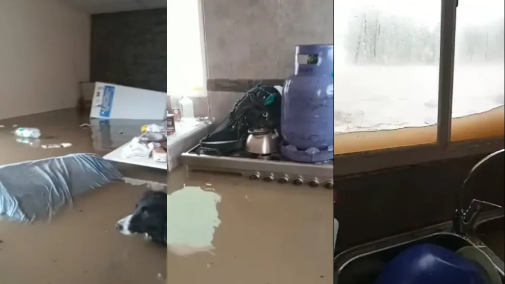 Video: El agua a la altura de las ventanas en el Partido de Patagones
