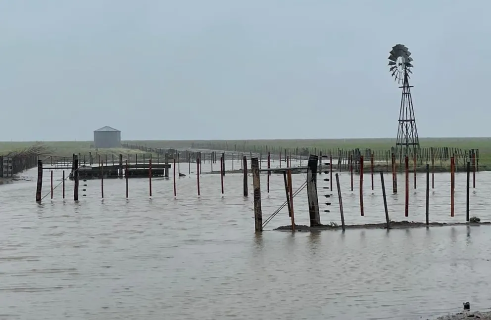 Inundaciones: conservar el monte para producir y evitar desastres