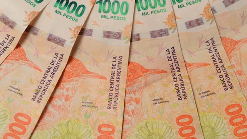 Bono de ANSES para mujeres de 18 a 65 años: quiénes pueden cobrar $32.000