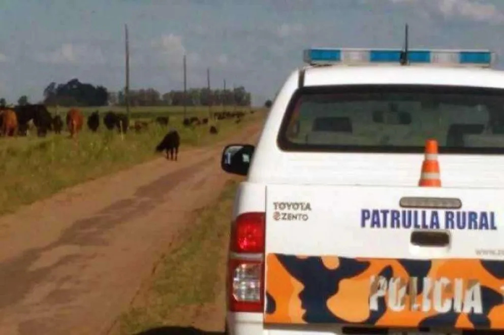 Cazador infraccionado por circular en campo, sin autorización y en horario no permitido