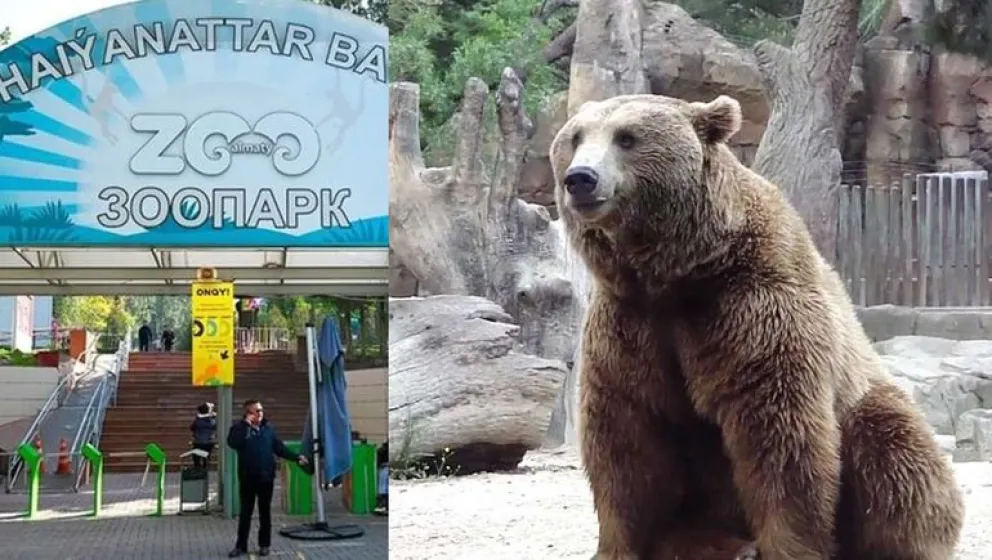 Madre arrojó a su hija a la jaula de un oso