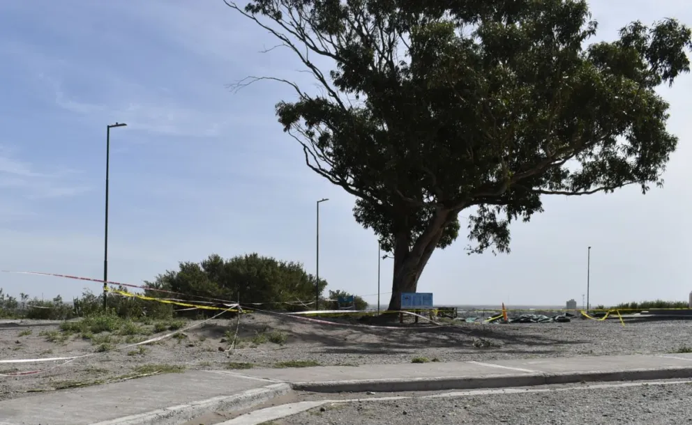 Huesos en el cerro de la caballada: una de las principales hipótesis apuntan a la batalla del 7 de Marzo