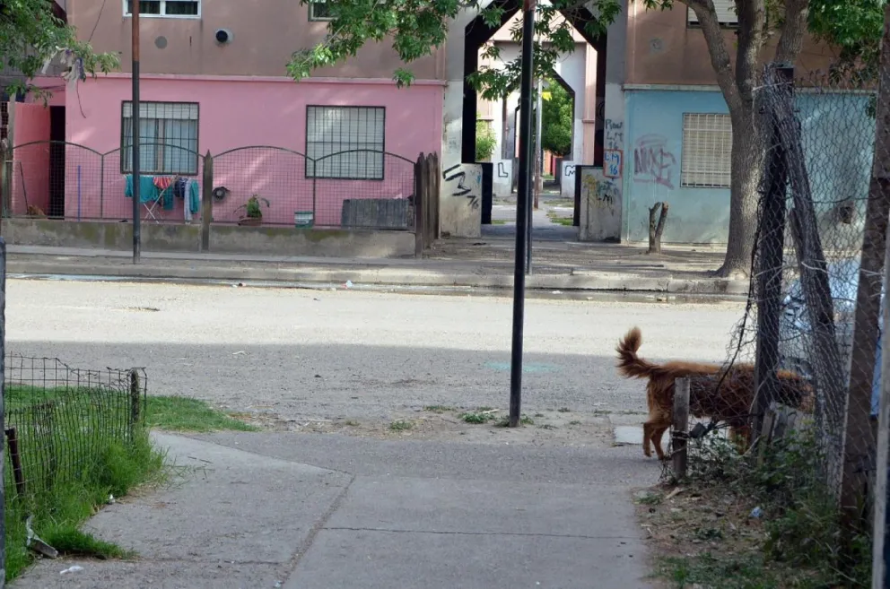 Balearon a un delincuente en Las 1016 