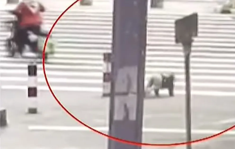 Video: el momento en que un niño cae de la moto y persigue a su madre que siguió sin notarlo