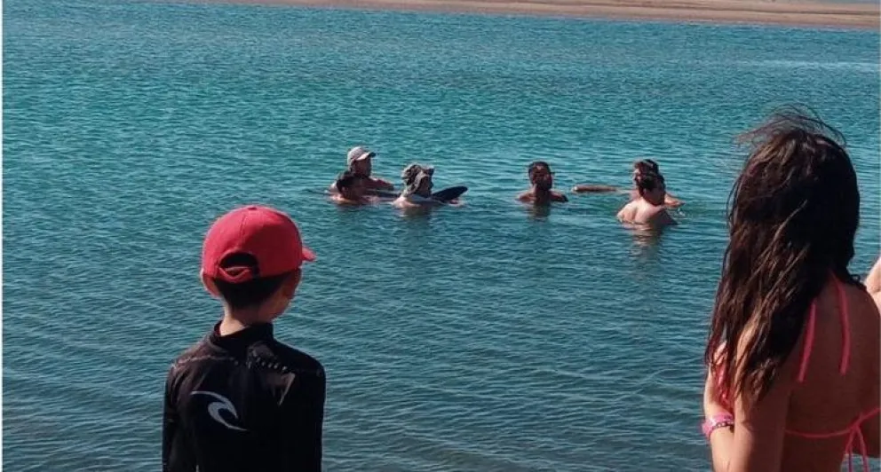 Tres delfines quedaron encallados en SAE: intenso trabajo de turistas para rescatar a uno en Punta Perdices