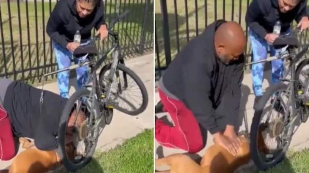 ¡Un héroe! Le salvó la vida a un perro practicándole RCP en plena calle