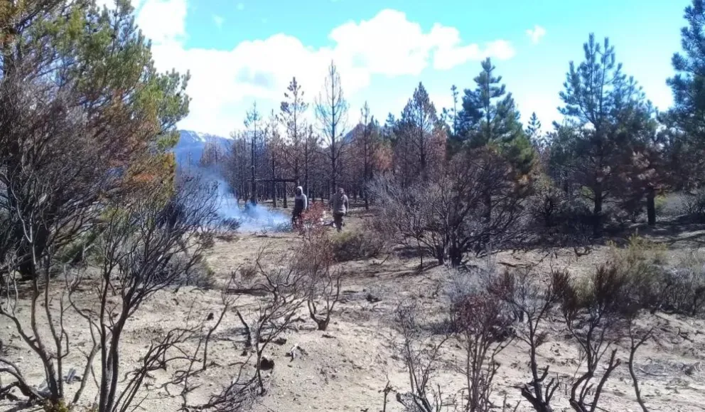Increíble: le ofrecieron ir a tomar terrenos y cuando preguntó dónde, era el suyo