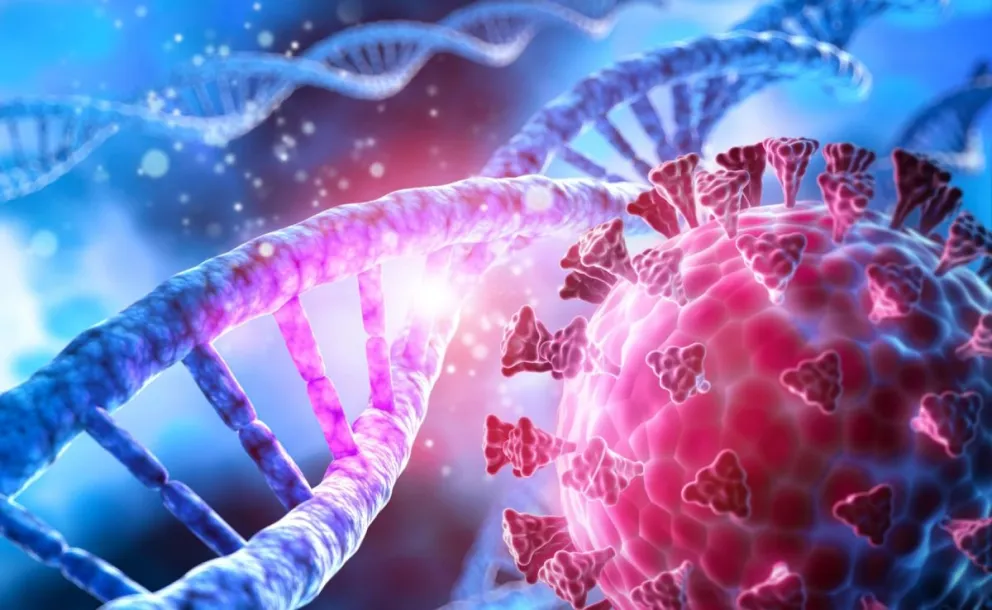 Qué es la inmunidad innata contra el Covid-19 y quiénes pueden tenerla  