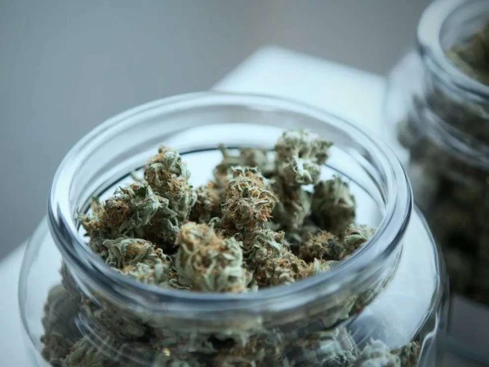 Increíble: tuvo un episodio de psicosis por consumir cannabis y se amputó el pene 