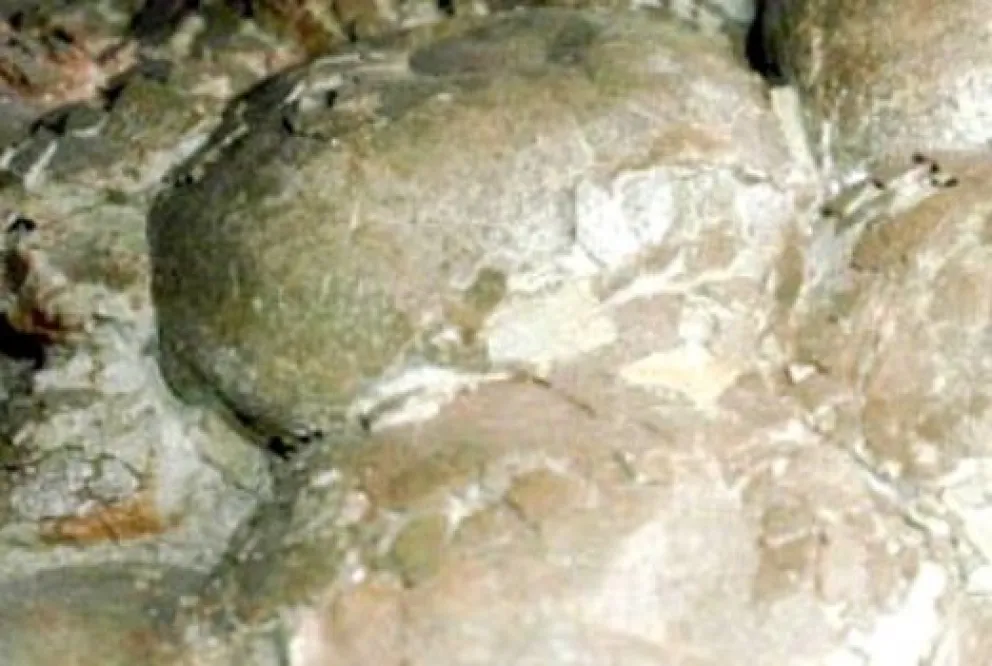 Se cumplen 17 años de uno de los descubrimientos más asombrosos en la Patagonia