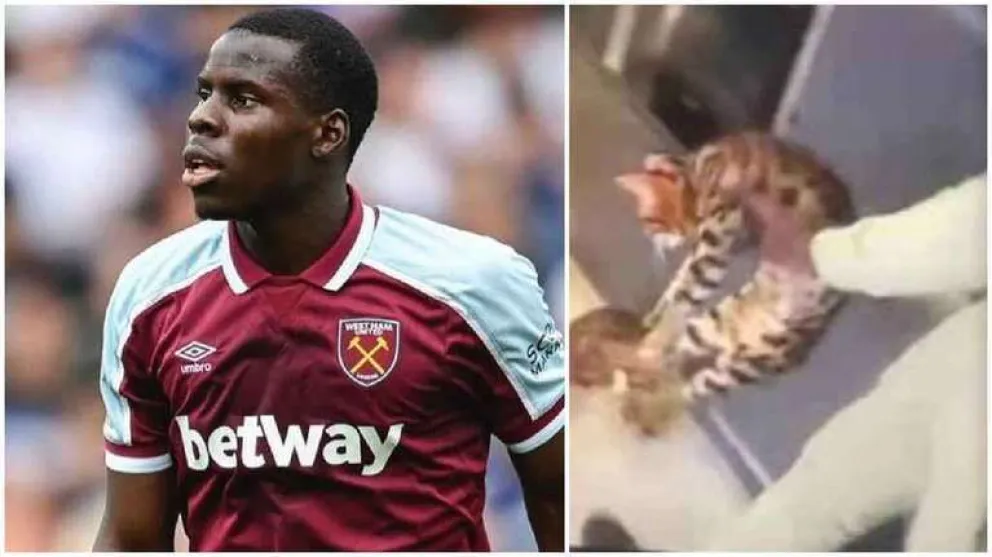 “La mayor multa posible” a un jugador del West Ham que pateó y maltrató a su gato